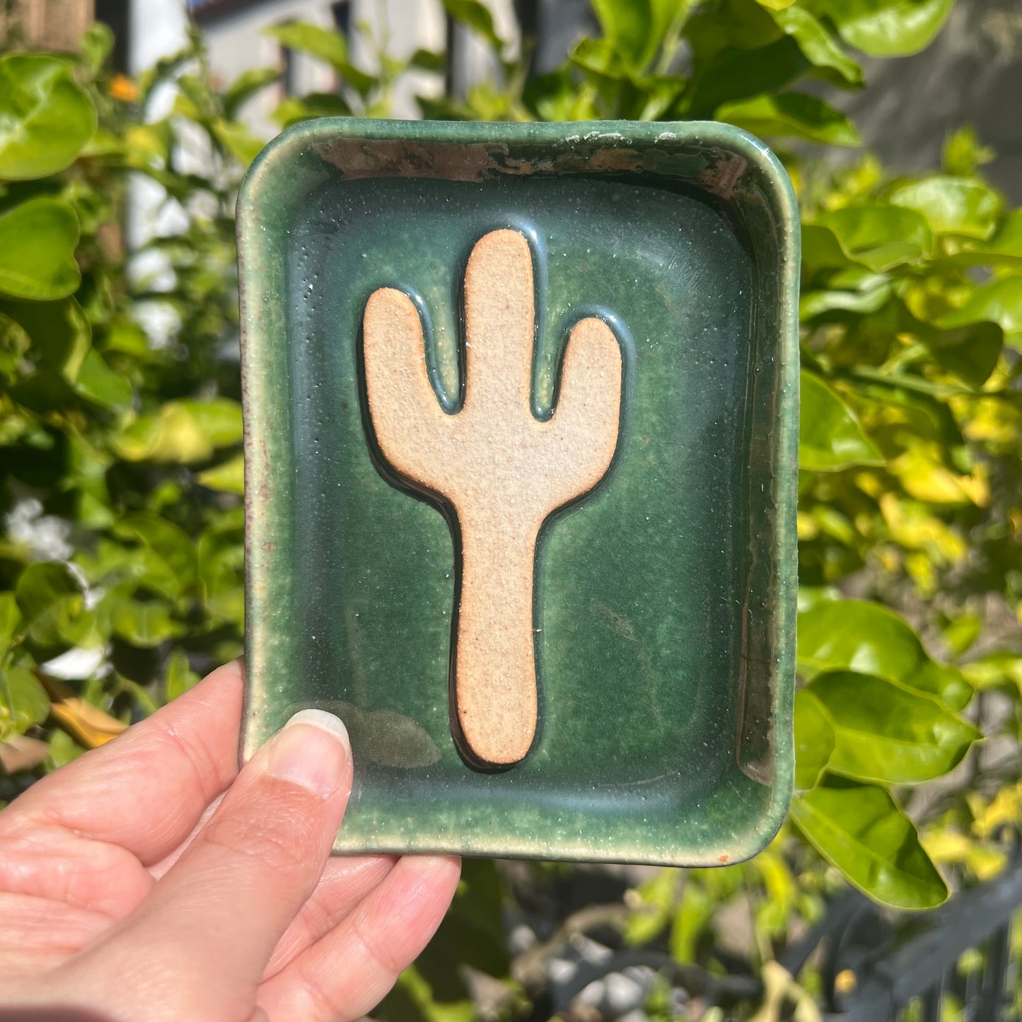 Saguaro Soap Dish