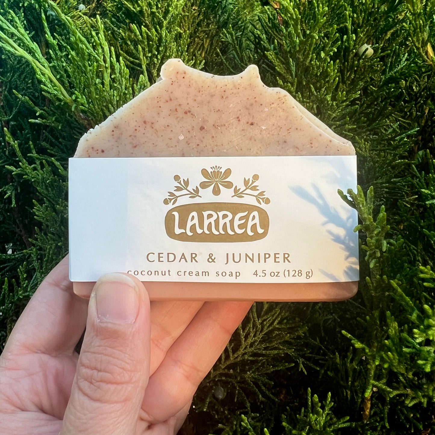 Cedar & Juniper Coconut Milk Soap