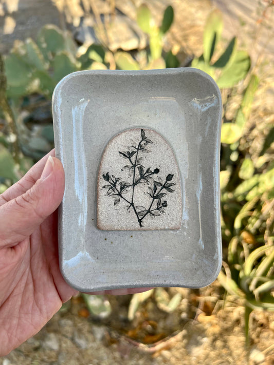 Creosote Arch Soap Dish