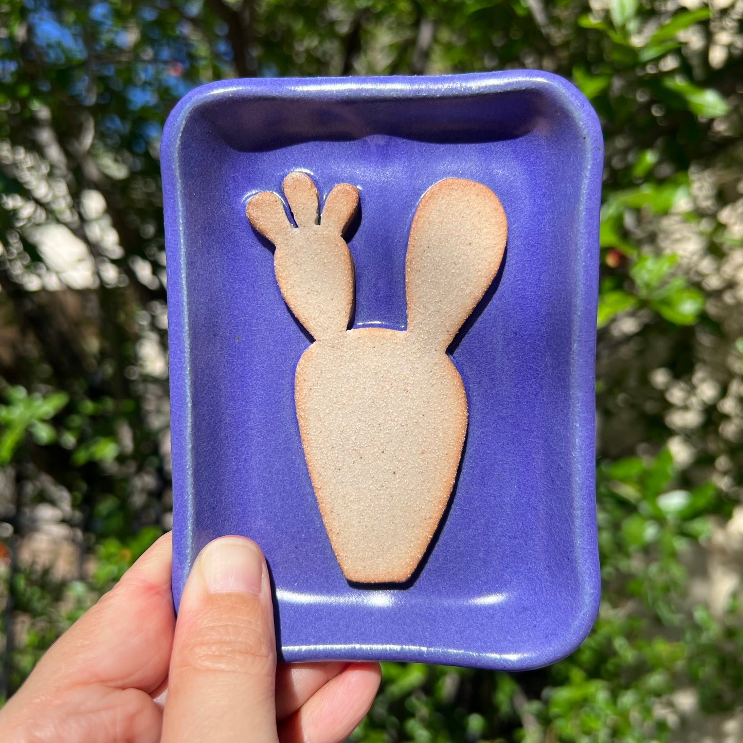 Prickly Pear Soap Dish