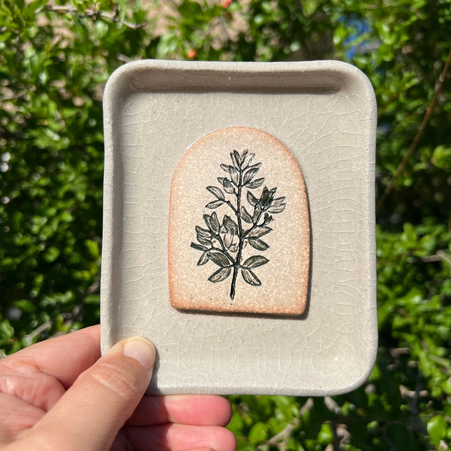 Creosote Arch Soap Dish