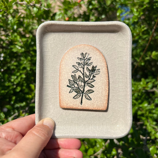 Creosote Arch Soap Dish