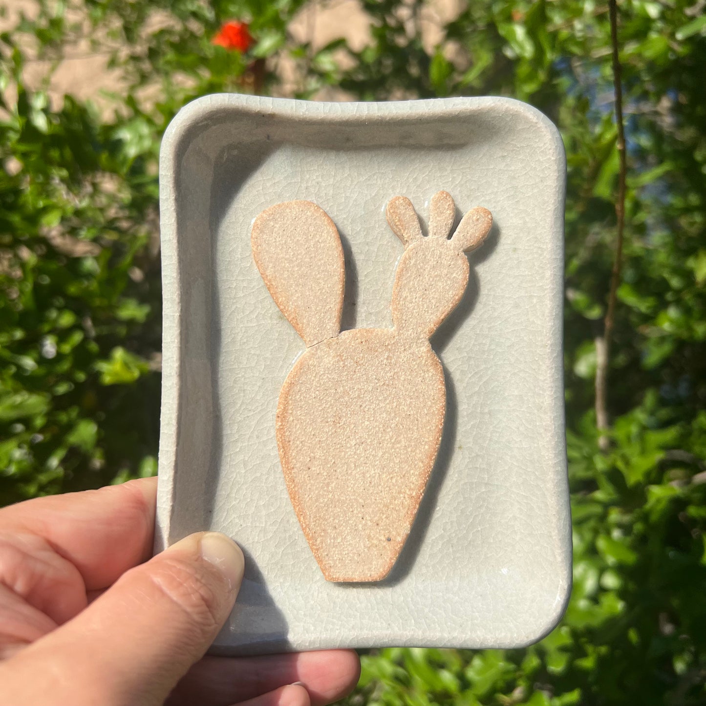 Prickly Pear Soap Dish