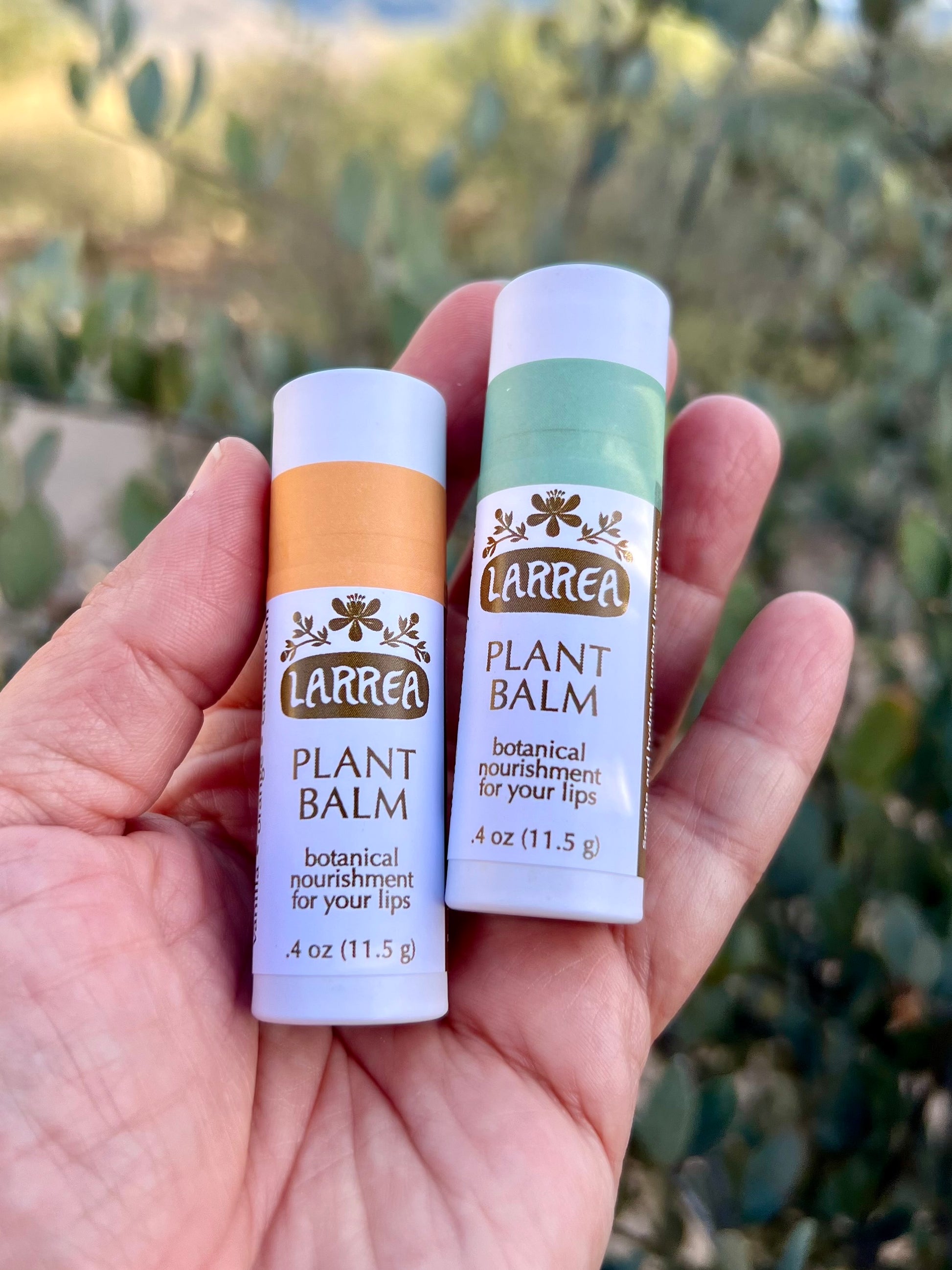 Two lip balm sticks with 'Larrea' branding held in a hand against a blurred natural background. The labels say "Plant Balm botanical nourishment for your lips"