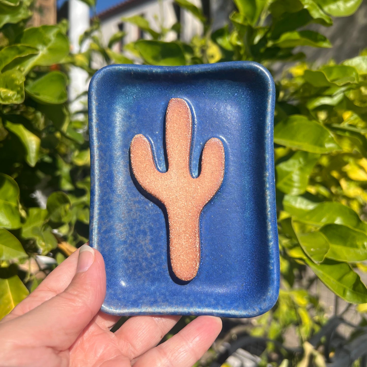 Saguaro Soap Dish